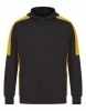 Adult's Team Hoodie