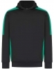 Adult's Team Hoodie