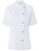 Bluza kucharska z krótkimi rękawami Greta
