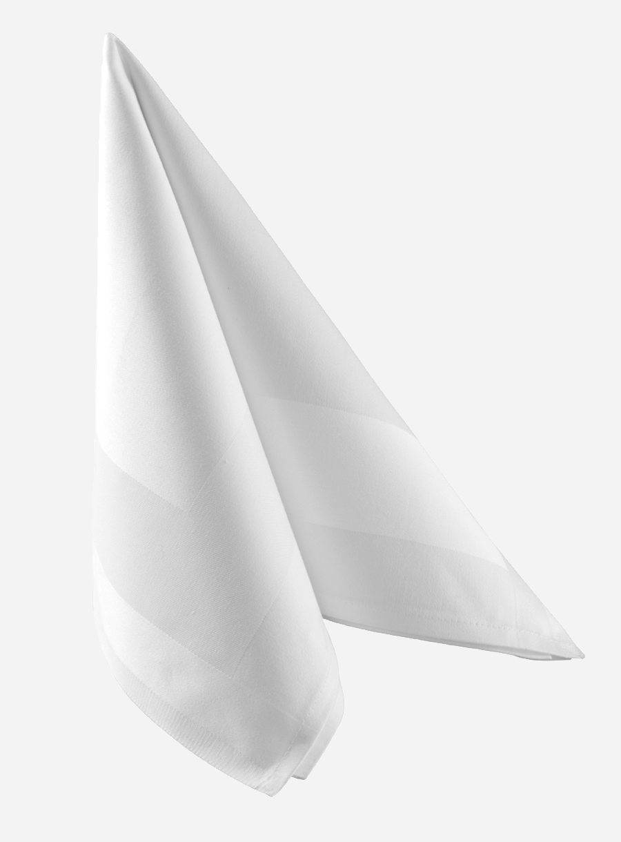 Cloth Napkin (Pack of 6)