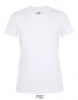 Damska koszulka t-shirt Regent