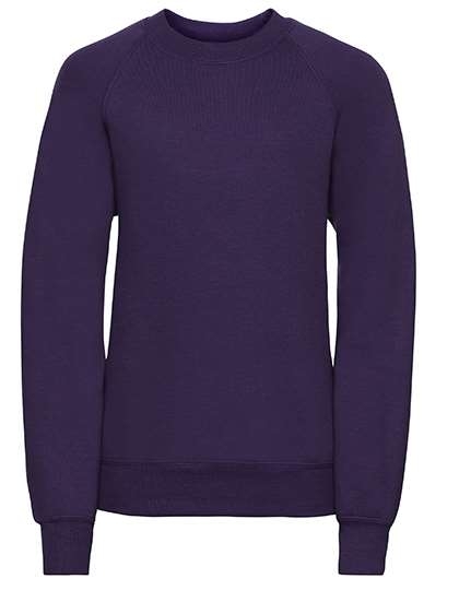 Dziecięca klasyczna bluza Kids Raglan