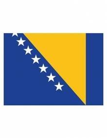 Flaga państwowa Bośni i Hercegowiny