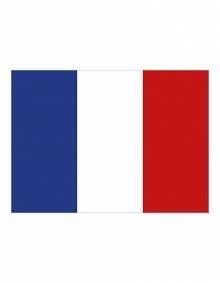 Flaga państwowa Francji