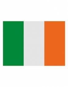 Flaga państwowa Irlandii