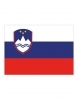Flaga państwowa Słowenii
