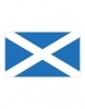 Flaga państwowa Szkocji