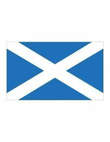 Flaga państwowa Szkocji