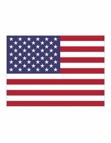 Flaga państwowa USA