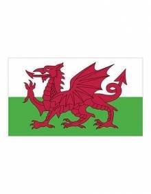 Flaga państwowa Walii
