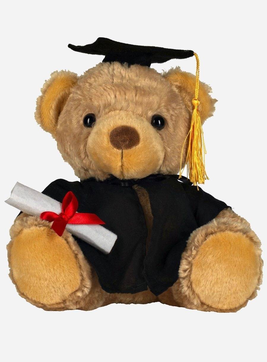 Graduation Bear