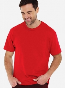 Męska koszulka t-shirt Hefty