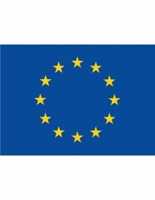 Flaga Unii Europejskiej