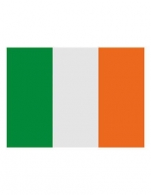 Flaga państwowa Irlandii
