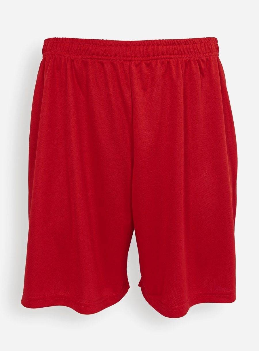 Kids Evolution Shorts