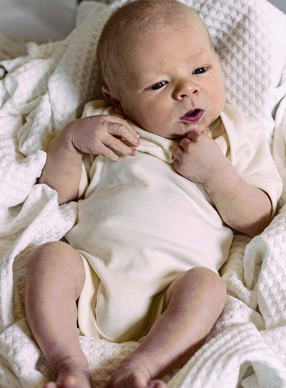 Organic Baby Bodysuit Short Sleeve Rebel 01