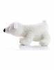 Polar Bear Freddy