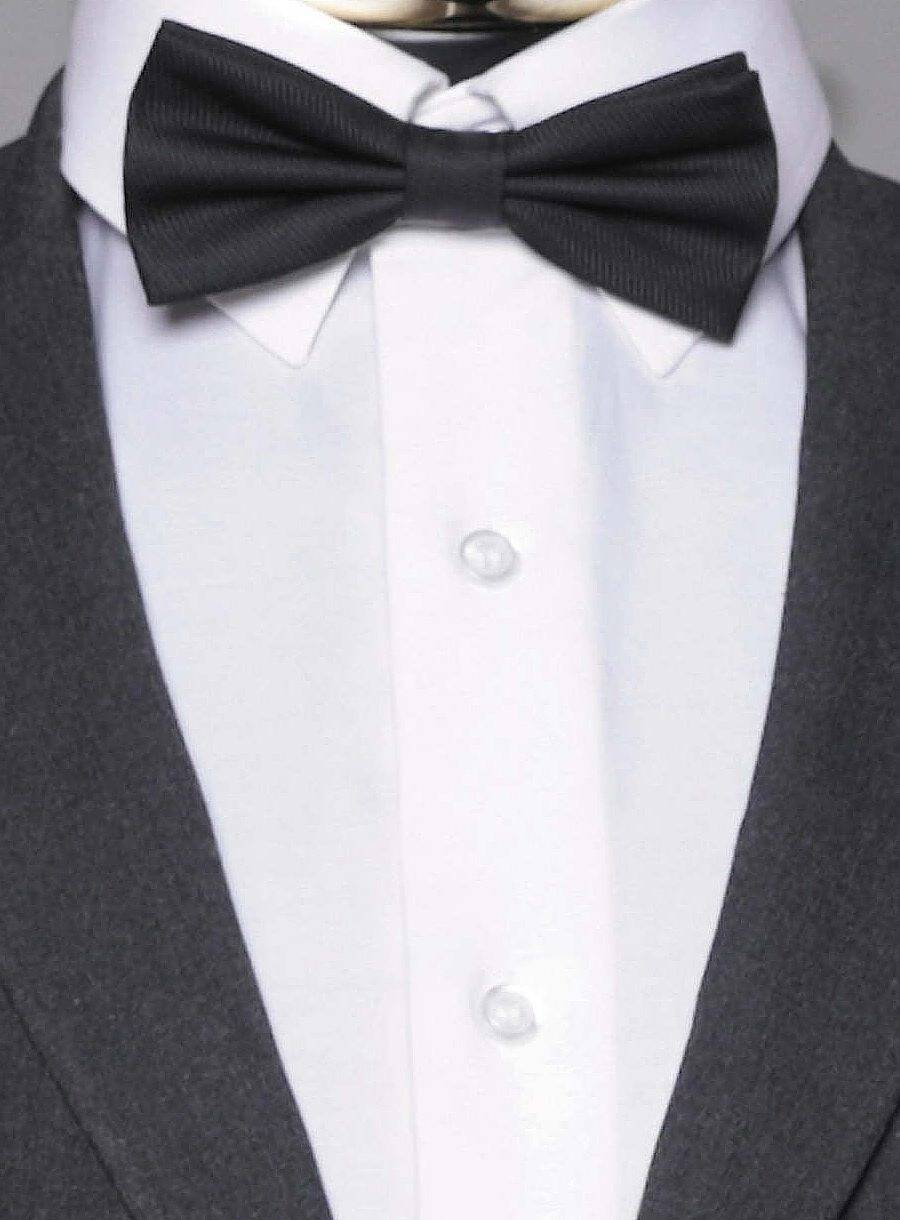 Pre-Tied Bow Tie Teddy