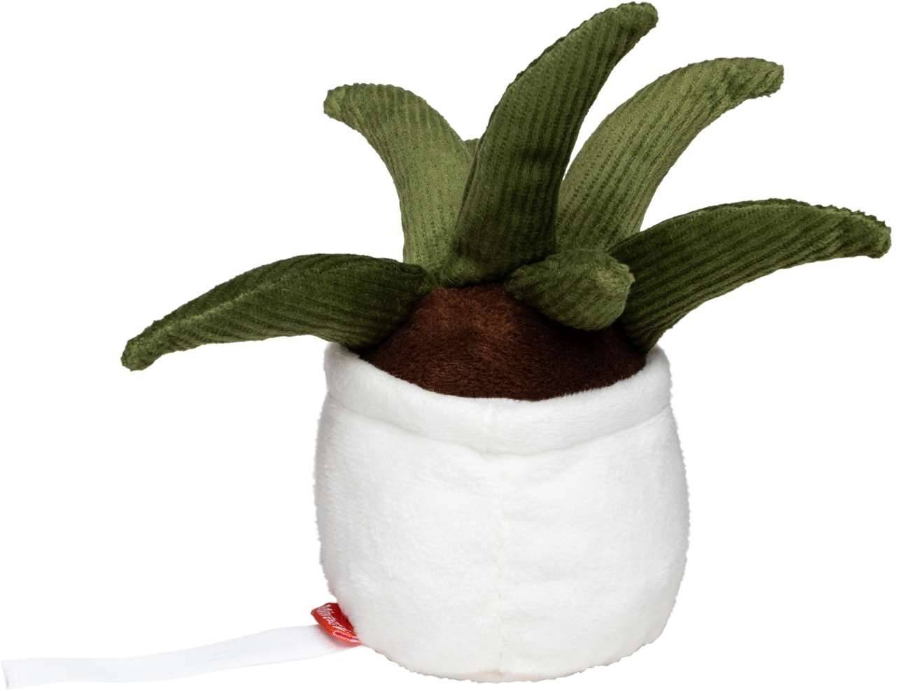 Schmoozies® Evergreenies® Aloe Vera