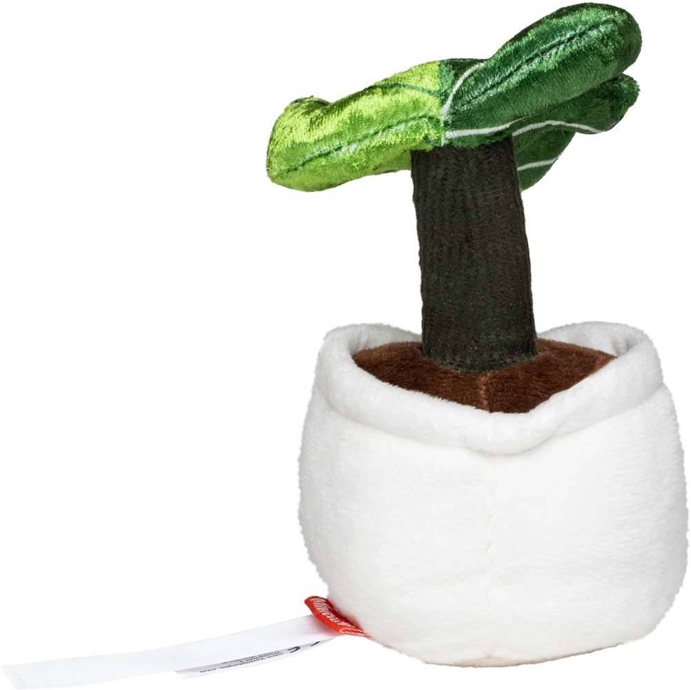 Schmoozies® Evergreenies® Monstera