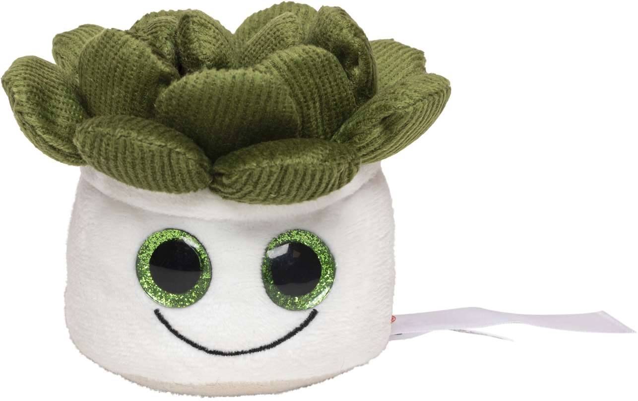 Schmoozies® Evergreenies® Succulent