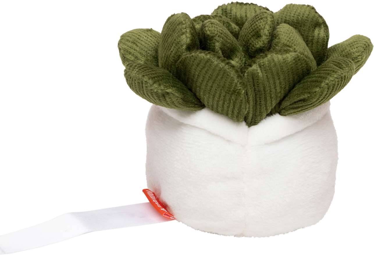 Schmoozies® Evergreenies® Succulent