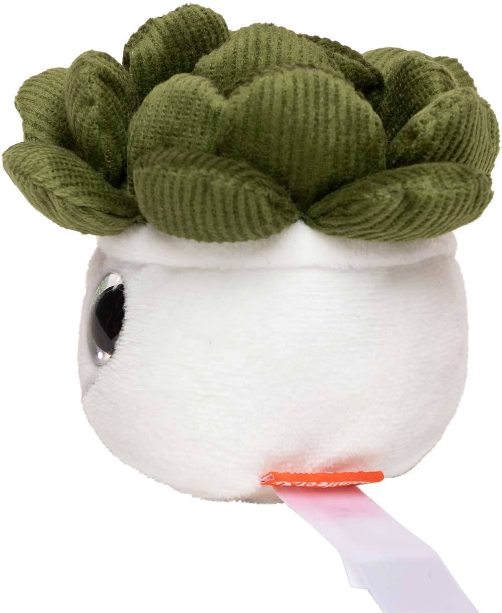 Schmoozies® Evergreenies® Succulent