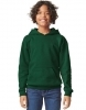 Softstyle® Midweight Fleece Youth Hoodie