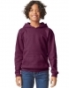 Softstyle® Midweight Fleece Youth Hoodie