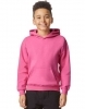 Softstyle® Midweight Fleece Youth Hoodie