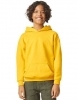 Softstyle® Midweight Fleece Youth Hoodie