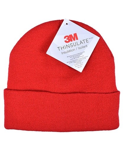 Thinsulate Beanie